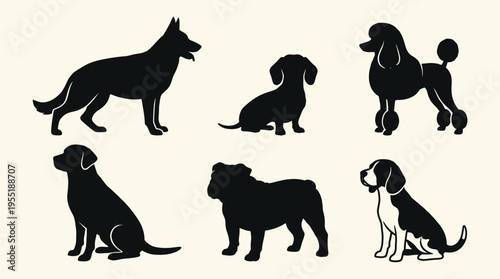Collection of various dog breeds represented as black silhouettes on a light background, showcasing different postures and shapes of popular canine companions