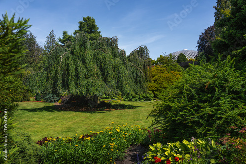Quarry Gardens and Weeping beech tree at Queen Elizabeth Park - Vancouver, British Columbia, Canada