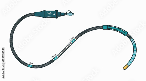 Illustration of a medical guidewire or catheter with a flexible shaft, measurement markings, a connector, and a specialized multi-segment distal tip, coiled on a white background.