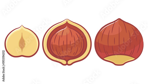 Cartoon Nuts Tree Hazelnut Cobnut Seed