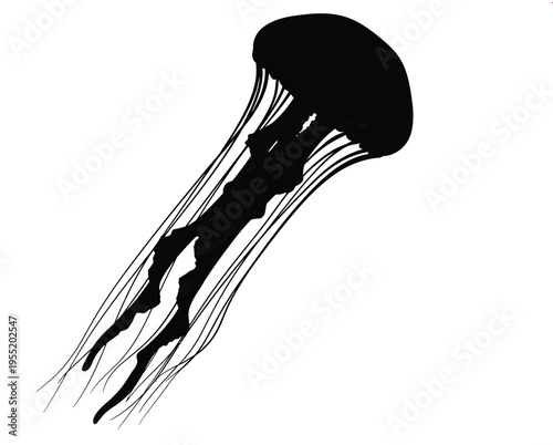 Black jellyfish vector illustration