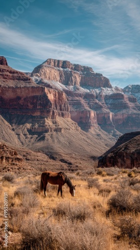 Majestic white horse standing on rocky cliff with dramatic canyon landscape in background, symbolizing freedom and wilderness.