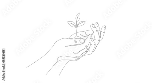 Hands Gently Holding Plant Sprout, Minimalist Line Art Drawing Isolated on White