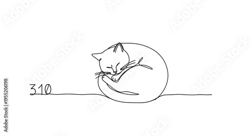 Continuous Line Drawing Sleeping Cat Curled Up on White Background