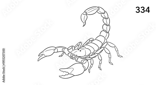 Scorpion Black and White Line Art Drawing Isolated on White Background