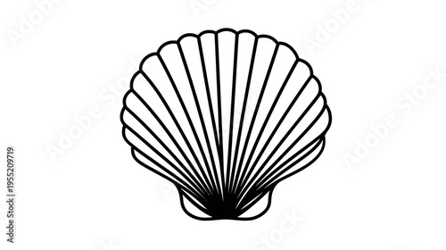 Black and white illustration of a scallop shell, with thick lines and a minimalist design