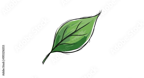 Green Leaf Illustration - Freshness and Nature Concept
