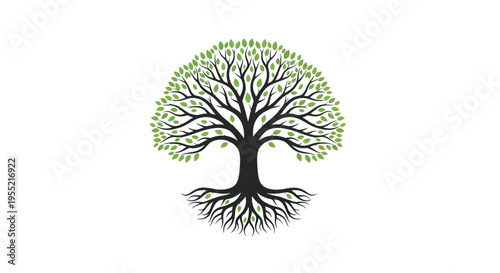 Tree with Green Leaves and Roots.