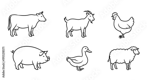 Collection of Farm Animals: Cow, Sheep, Pig, Chicken, Goose and Duck in Simple Line Drawings.