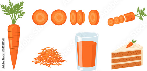 Carrot Food Illustration Set with Whole Vegetable Slices Juice Grated Shreds and Cake Dessert Vector Collection for Healthy Eating and Cooking Design