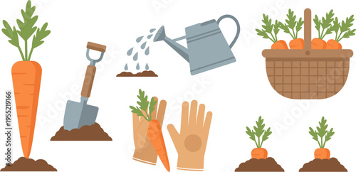 Carrot Gardening and Harvest Vector Illustration Set with Watering Can Shovel Gloves and Fresh Vegetables Basket for Organic Farming Agriculture and Home Garden Design