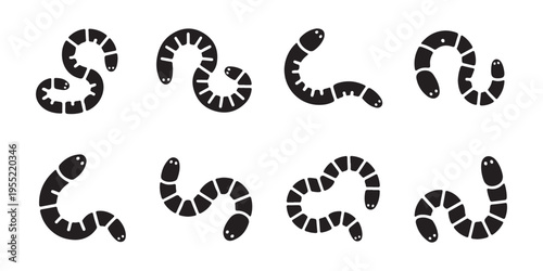 Photography Collection of black earthworm silhouettes on white background, flat design vector illustration