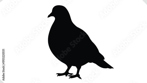 Silhouette of a black pigeon bird standing, symbol of peace and urban wildlife on transparent background