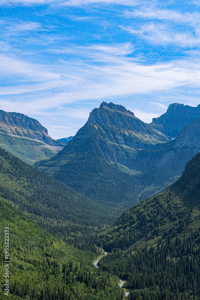 Obraz premium Dense evergreen forest fills a mountain valley with a winding river leading toward rugged peaks under a blue sky in Glacier National Park, Montana, USA.