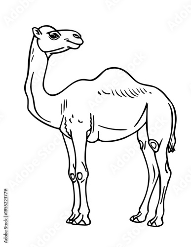 Animal Adults Coloring Pages, Animal Coloring Page, Animals Coloring Book, Animals Outline, Animals Lineart