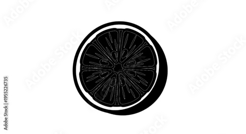 Vector illustration of black and white illustration of a citrus fruit slice