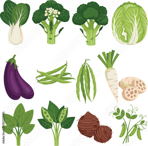 Set of Vegetables Including Bok Choy, Broccoli, Eggplant, Peas, and Radish on White Background