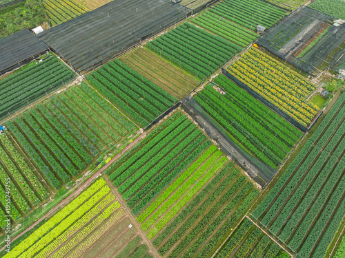 Aerial view of multiple crop plots forming a colorful patchwork of farmland, showcasing intensive cultivation and land organization in Hanoi suburban countryside.