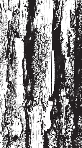 14-25. Wood board Wall Surface Texture Vector Image - Illustration.
