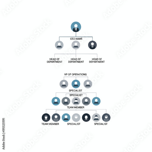 Hierarchical organizational chart showing CEO, department heads, VP, specialists, and team members