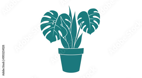 Modern potted Monstera plant illustration on white