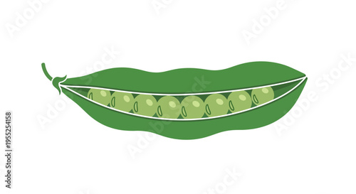 Open green pea pod with fresh peas inside