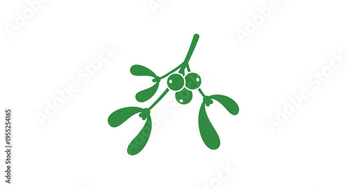 Mistletoe branch with green leaves.