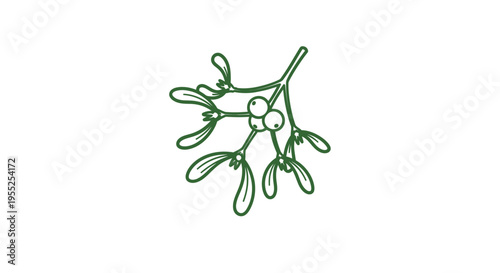 Mistletoe plant with green leaves.