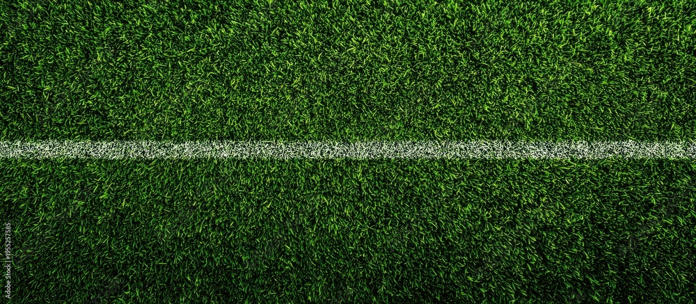 Obraz premium Vibrant Green Grass Field with White Line - Perfect for Sports and Outdoor Themes.