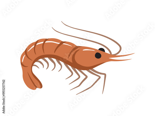 Shrimp Food Cartoon