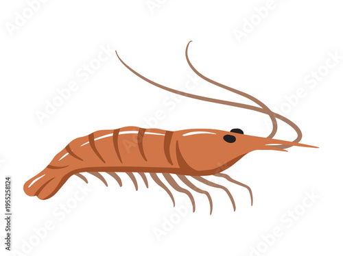 Fried Shrimp Food Cartoon Illustration
