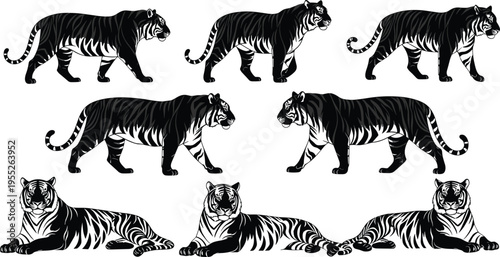 Tiger silhouette collection featuring walking and lying poses in black and white cad drawing flat vector illustration style for flavector designs.