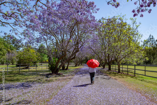girl walking through the Jacarandas