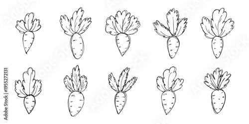 Hand drawn farm daikon radish beet beetroot plant with green leaves Fresh vegetable doodle set Healthy eco food Organic garden vegetarian food For design, print, packaging, decor, kids books