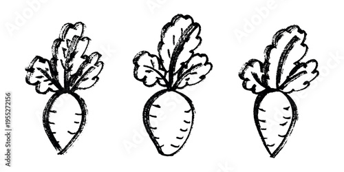 Hand drawn farm daikon radish beet beetroot plant with green leaves Fresh vegetable doodle set Healthy eco food Organic garden vegetarian food For design, print, packaging, decor, kids books
