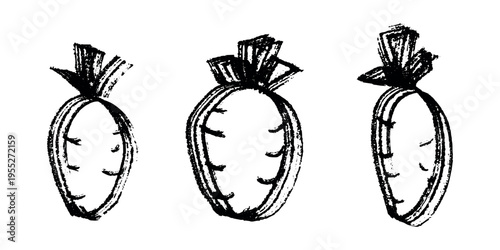 Hand drawn farm daikon radish beet beetroot plant with green leaves Fresh vegetable doodle set Healthy eco food Organic garden vegetarian food For design, print, packaging, decor, kids books