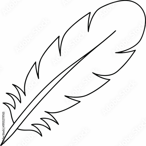 swan feather with downy base line art vector illustration on transparent background