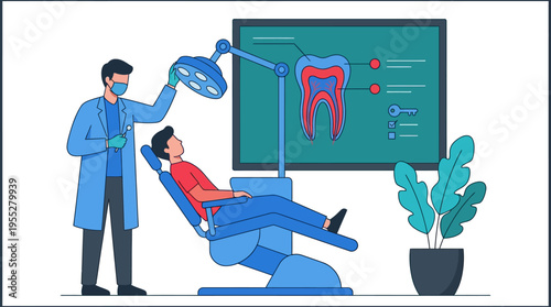 Dentist Examining Patient in Clinic with Detailed Tooth Anatomy Display
