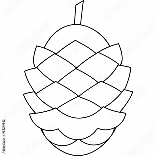 pinecone opening in warmth line art vector illustration on transparent background