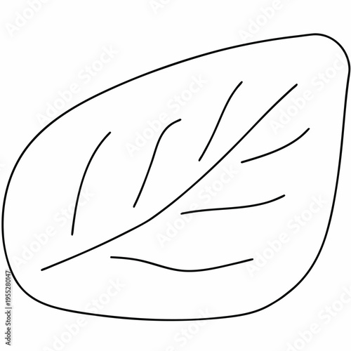 leaf imprint on clay line art vector illustration on transparent background