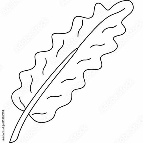 kelp frond with air bladder line art vector illustration on transparent background