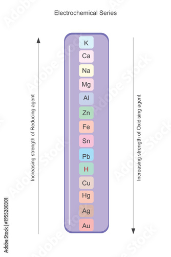 Electrochemical series ranks elements by standard electrode potentials, showing their tendency to lose or gain electrons and helping predict redox reactions, reactivity, and corrosion.Vector illustrat