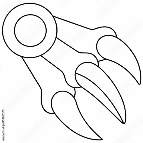 eagle talon with sharp claws line art vector illustration on transparent background