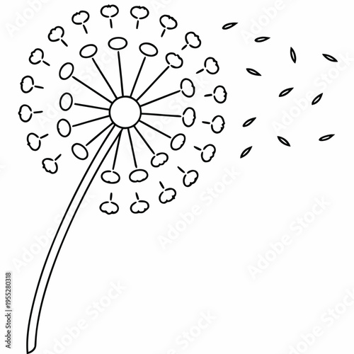dandelion puff ready to disperse line art vector illustration on transparent background