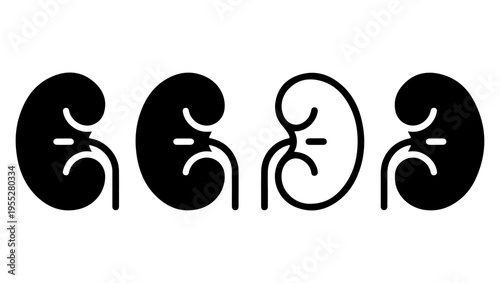 A simple illustration depicting two pairs of human kidneys in black outline