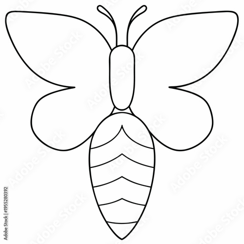 butterfly emerging from chrysalis line art vector illustration on transparent background