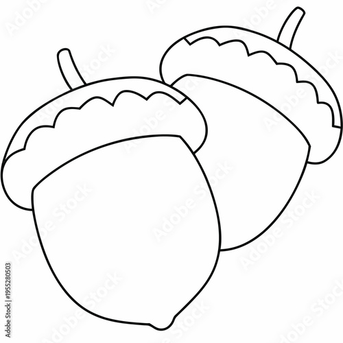 acorn cap separate from nut line art vector illustration on transparent background