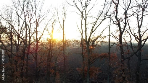 Sunset or setting rising sun. Sun shine through trees without leaves on background of agricultural field of plowed land of black earth on sunny autumn day. Rural countryside scenery. Nature Natural