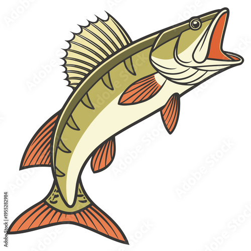 Vector pike fish illustration with orange fins and open mouth