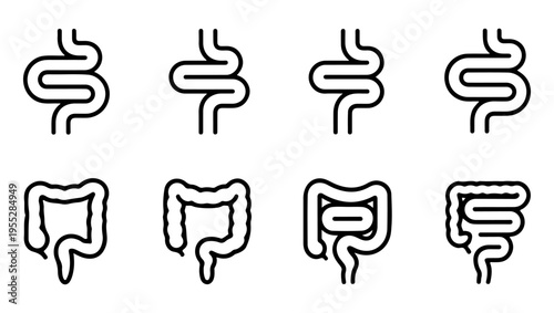 Simple black and white line drawings of human intestines and colons